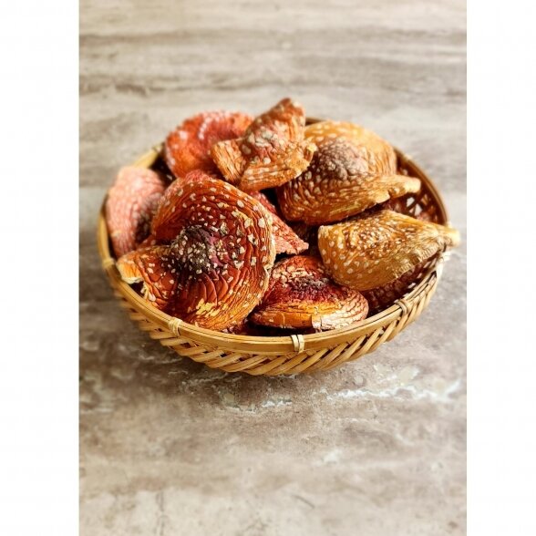 AMANITA MUSCARIA (FLY AGARIC) CAPS (1 Kg.) 2